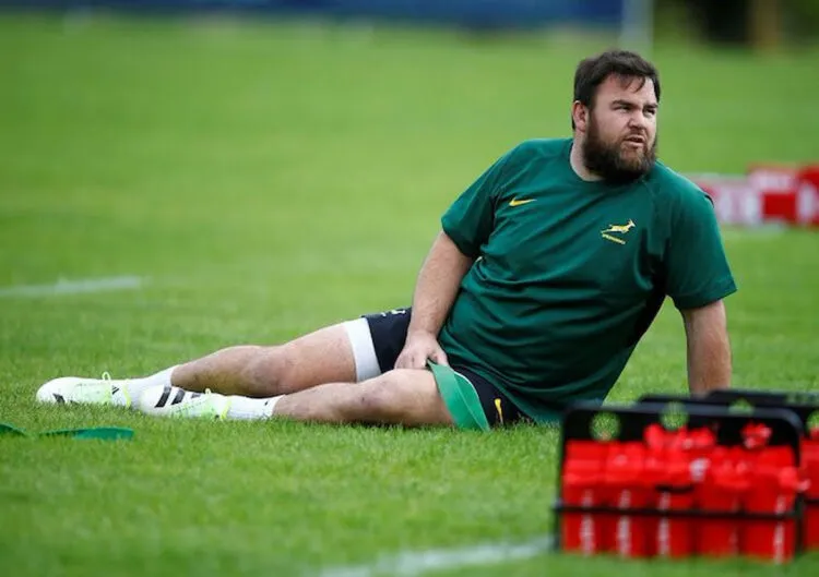 Springboks Set for Busy 2025 Season Despite Major Injury Setbacks Springboks Set for Busy 2025 Season Despite Major Injury Setbacks