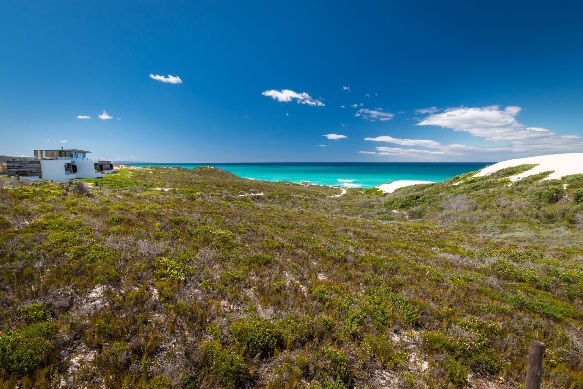 Best Coastal Fynbos Trails in the Western Cape Best Coastal Fynbos Trails in the Western Cape